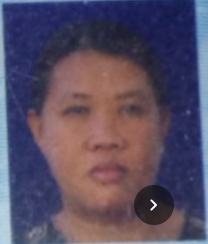 LAKSMI NURDIN